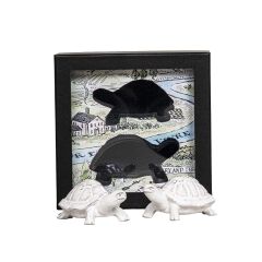 Clever Creatures Turtle Salt and Pepper Set/2pc - Leonardo & Donatello