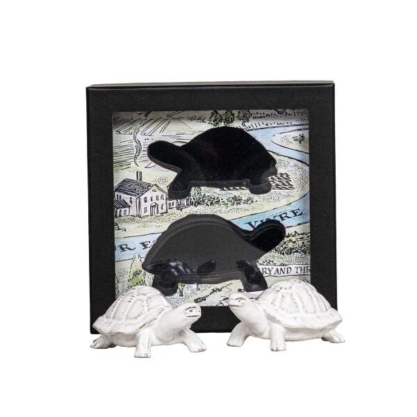 Clever Creatures Turtle Tuzluk ve Karabiberlik 2 Parça Set Leonardo & Donatello