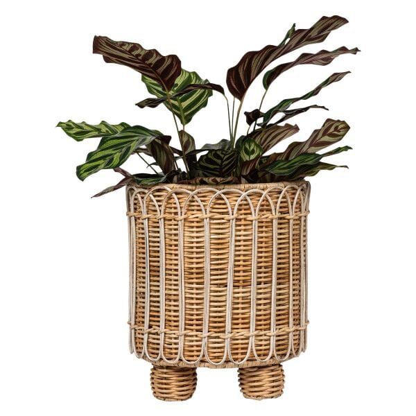 Provence Rattan Yuvarlak Saksı Beyaz Eskitme